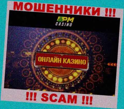 Тип деятельности internet мошенников PM Casino - это Казино, но помните это разводняк !!!