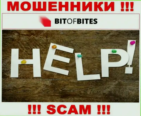 Деньги с дилинговой организации BitOfBites еще вернуть можно, пишите сообщение