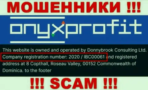 Номер регистрации, который принадлежит компании OnyxProfit Pro - 2020 / IBC00061