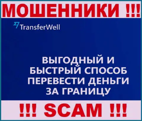 Не верьте, что работа TransferWell в направлении Платежная система законная