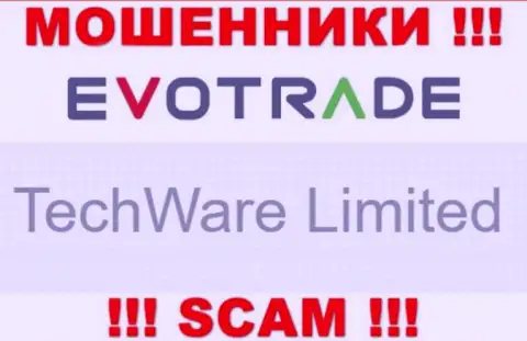 Юр. лицом EvoTrade считается - TechWare Limited