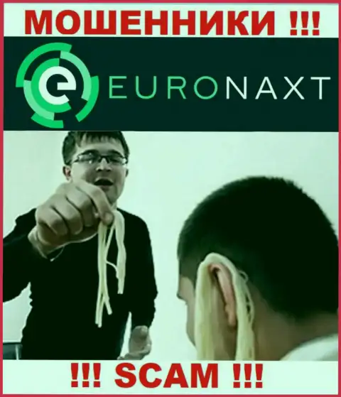 EuroNax намереваются развести на совместное взаимодействие ??? Будьте крайне внимательны, жульничают
