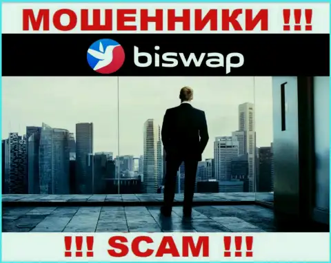 Кто управляет internet-аферистами Bi Swap неизвестно