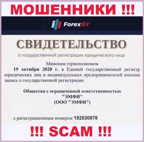 Регистрационный номер мошеннической конторы ООО ЭМФИ - 192530878
