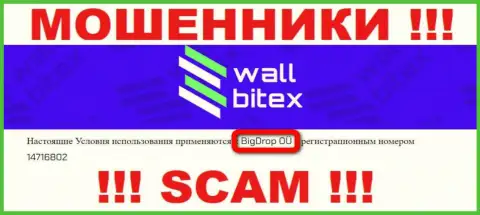 WallBitex - это МОШЕННИКИ !!! Управляет данным лохотроном BigDrop OÜ