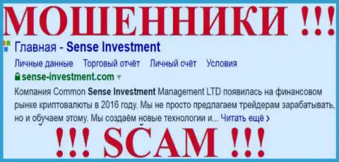 Sense Investment - это РАЗВОДИЛЫ !!! SCAM !!!